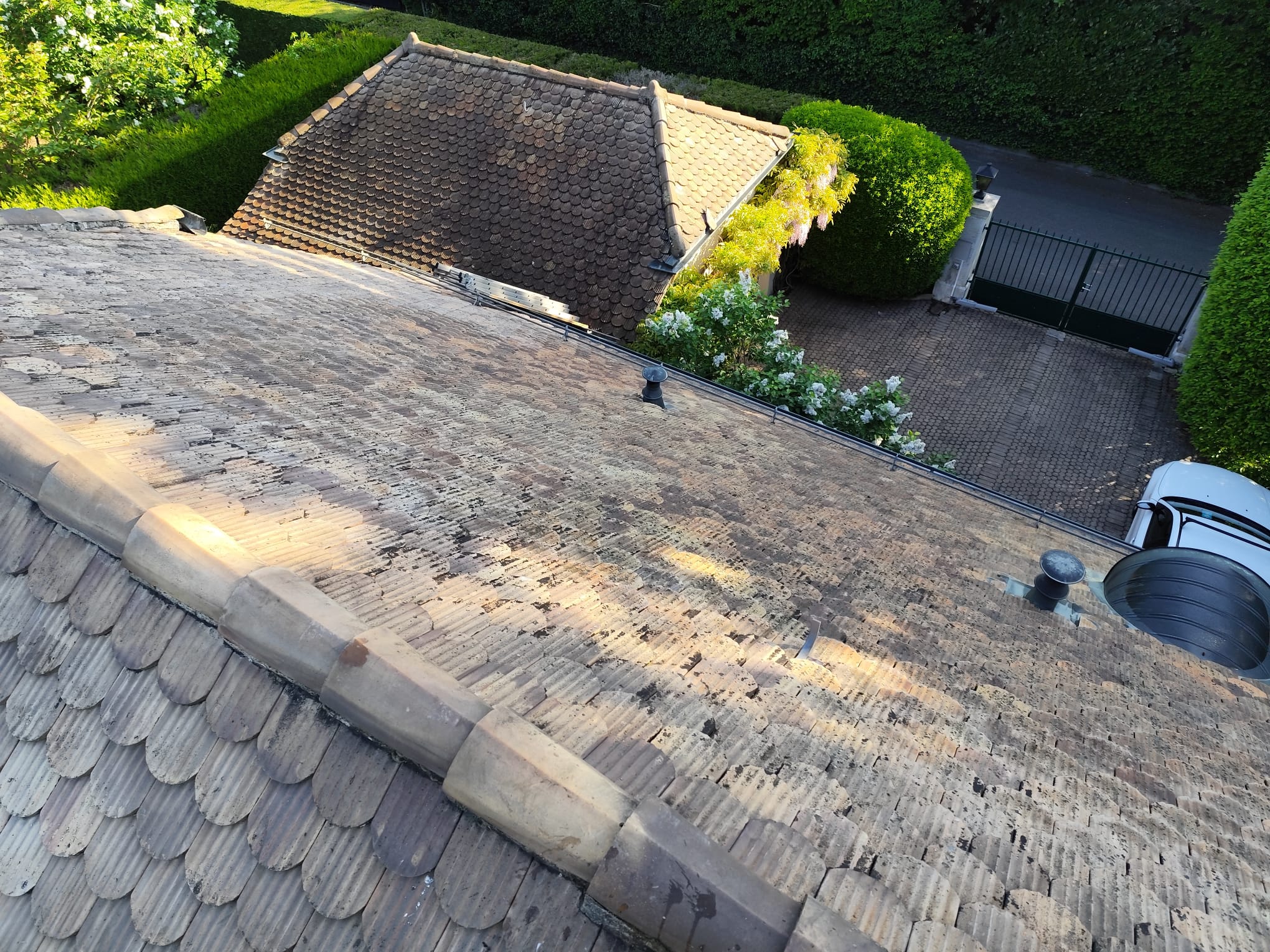 beforeAfterSection.beforeLabel cleaning